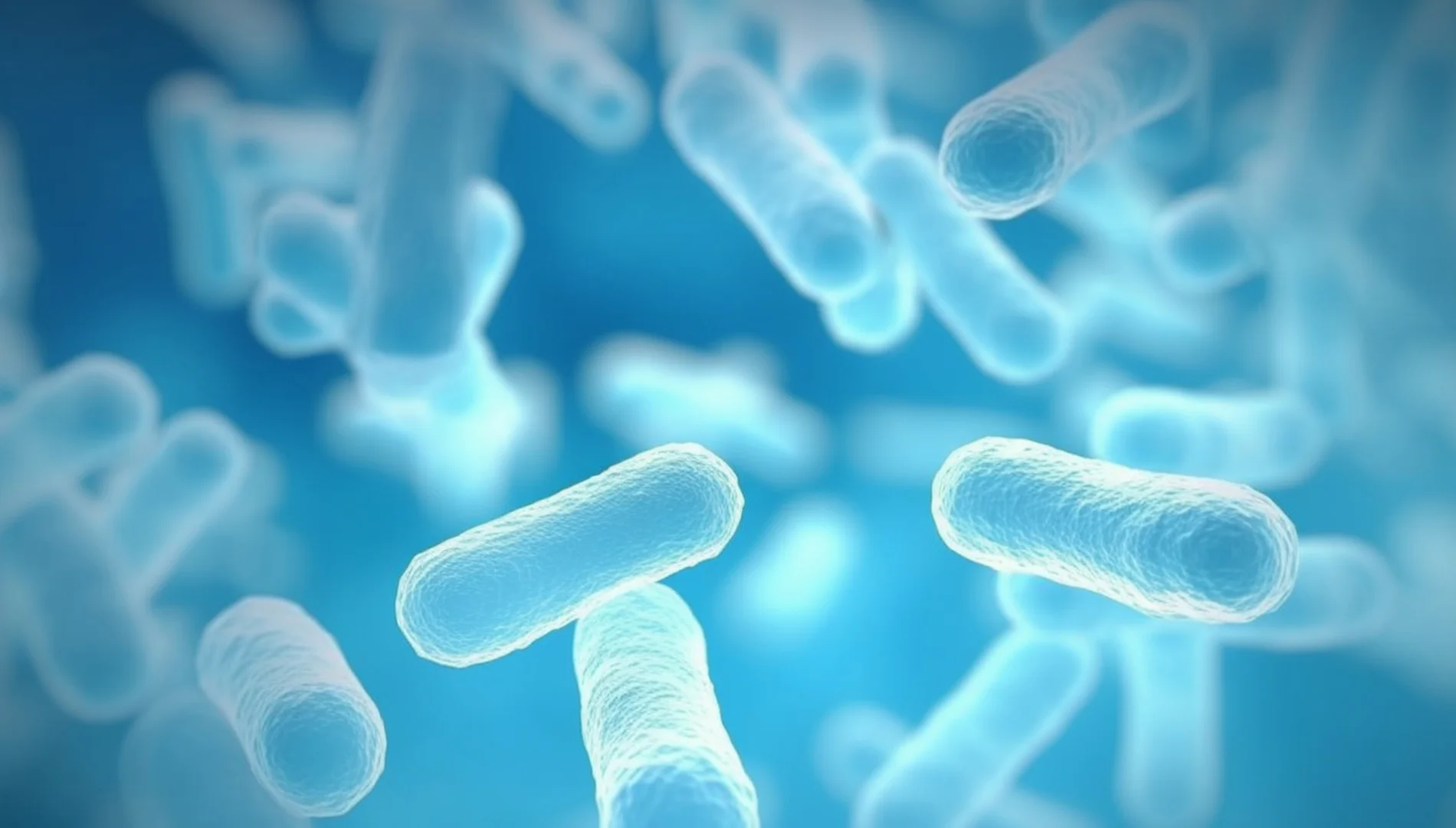 Mide - Bağırsak Hastalıklarında Probiyotikler